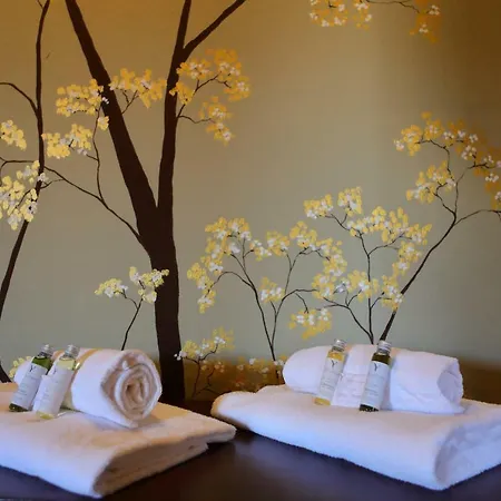 La Boheme Konukevi Lazise